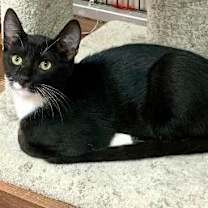 Thumbnail photo of Rufus #1