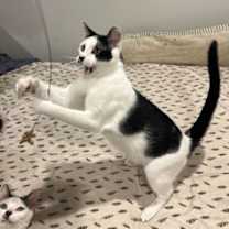 Thumbnail photo of Chance #3