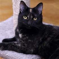 Thumbnail photo of Kindra #3