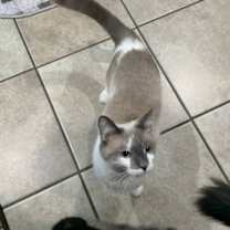 Thumbnail photo of Precious #2