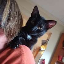 Thumbnail photo of Ernie #1