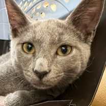 Thumbnail photo of Harry #3