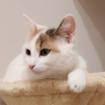 Thumbnail photo of Sarah #1