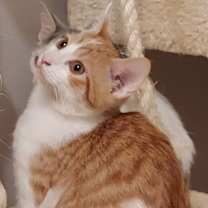Thumbnail photo of MARTY #3