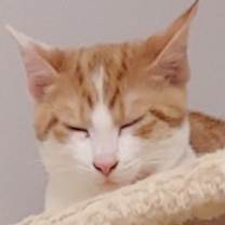 Thumbnail photo of MARTY #4