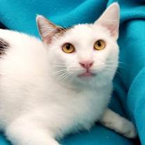 Thumbnail photo of In Memory of Andy - He Was Loved! #1