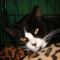 Thumbnail photo of Sabina #1