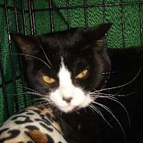 Thumbnail photo of Sabina #3