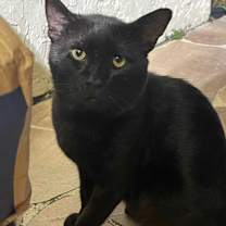 Thumbnail photo of Ian #1