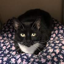 Thumbnail photo of Sally Jane #2