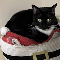 Thumbnail photo of Sally Jane #3