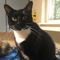 Thumbnail photo of Sally Jane #4