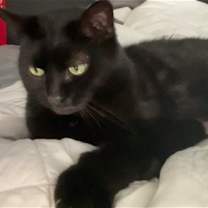 Thumbnail photo of KIPPER (COURTESY POST) #1