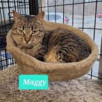 Thumbnail photo of Maggy-Sponsored #1