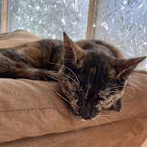 Thumbnail photo of Mary #1