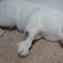 Thumbnail photo of Celeste #3