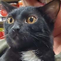 Thumbnail photo of Bean #1