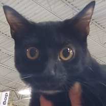 Thumbnail photo of Bean #2