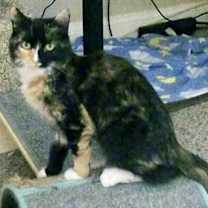 Thumbnail photo of liza #3