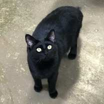 Thumbnail photo of Shayla #1