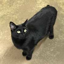 Thumbnail photo of Shayla #2