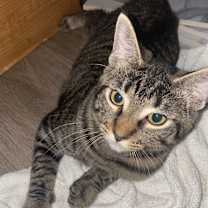 Thumbnail photo of Sassy #3