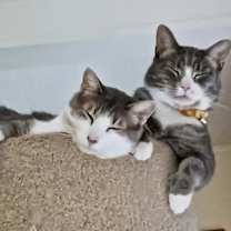 Thumbnail photo of Jude Mood #2