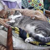 Thumbnail photo of Jude Mood #4