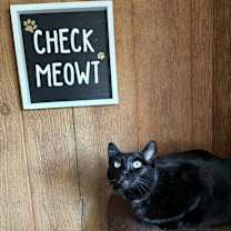 Thumbnail photo of BINKY #1