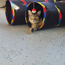 Thumbnail photo of Ralph #3