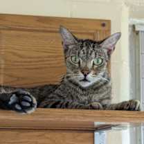 Thumbnail photo of Ralph #4