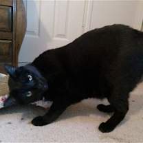 Thumbnail photo of Julian #2