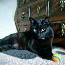 Thumbnail photo of Julian #3