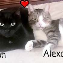 Thumbnail photo of Julian #4