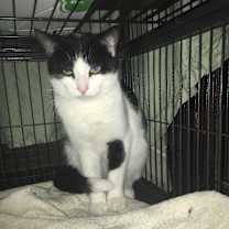 Thumbnail photo of Brandon #2