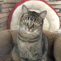 Thumbnail photo of Patsy #4