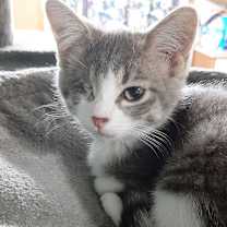 Thumbnail photo of Charlotte  #2