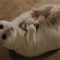 Thumbnail photo of Alex #4