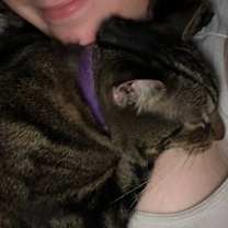 Thumbnail photo of DUNKIN (COURTESY POST) #1