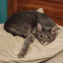 Thumbnail photo of Mink - AD #4