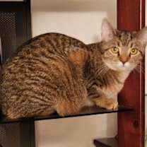 Thumbnail photo of Lilly - AD #4