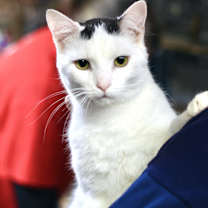 Thumbnail photo of Duncan #1