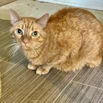 Thumbnail photo of Rusty Martin #2