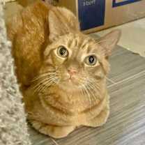 Thumbnail photo of Rusty Martin #1