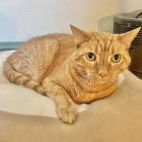 Thumbnail photo of Rusty Martin #3