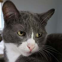 Thumbnail photo of Eleanor #1