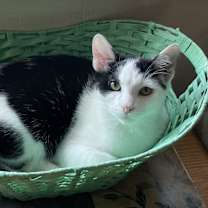 Thumbnail photo of Mason #3