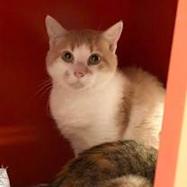 Thumbnail photo of Wilbur #1