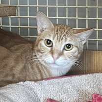 Thumbnail photo of Kalamazoo 5523 Ortiz #2