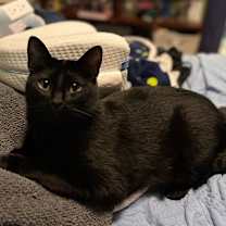 Thumbnail photo of Boba #1